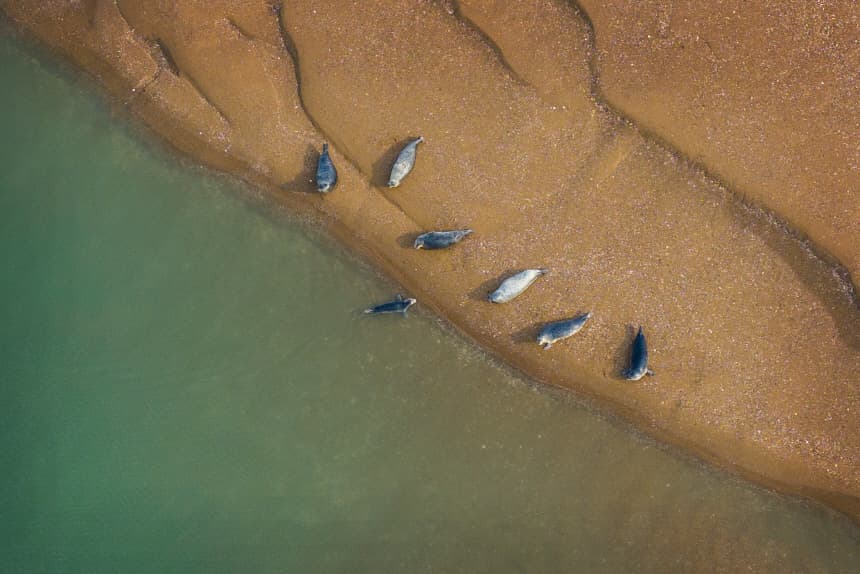 국가해양생태공원 4곳 지정, 2030년 1000만 관광객 목표